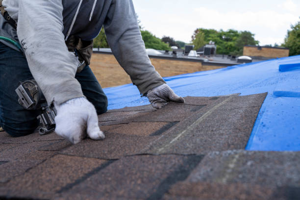 Steel Roofing in Greendale, IN